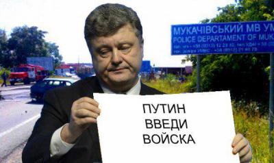 Прикрепленное изображение: 11057451_1601333750143866_3934282369490254526_n.jpg